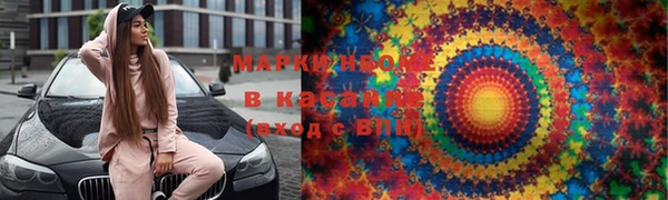 прущие грибы Армянск