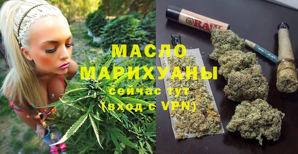 индика Чегем