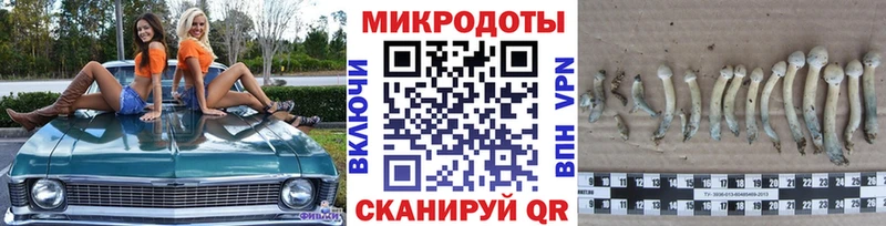 купить   Усолье  Псилоцибиновые грибы ЛСД 