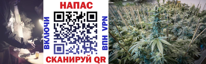 закладка  Усолье  Шишки марихуана план 
